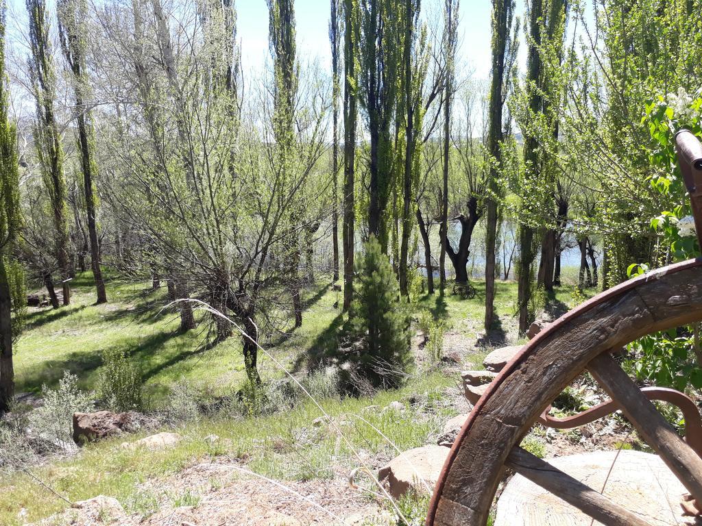 Posada De Campo La Calma Aluminé Kültér fotó